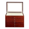 Vitrine guarda 78 estilograficas Cherry